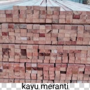 whatsapp image 2025 09 07 at 01.12.47